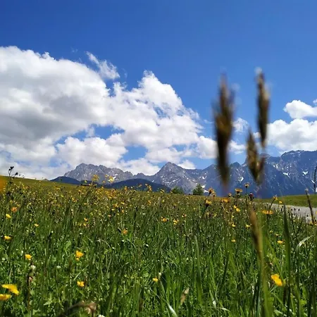 Manuel -560- アパート