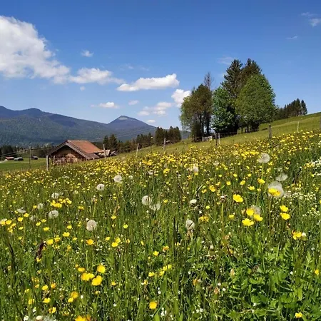 Appartement Manuel -560- Mittenwald